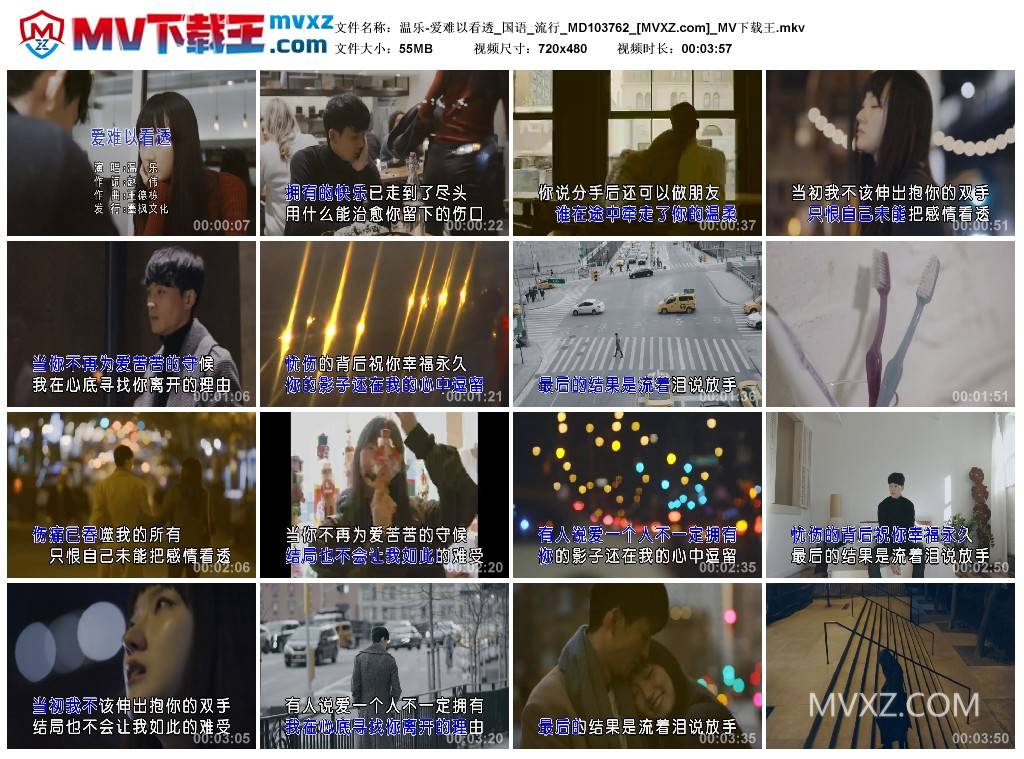 温乐-爱难以看透_国语_流行_MD103762